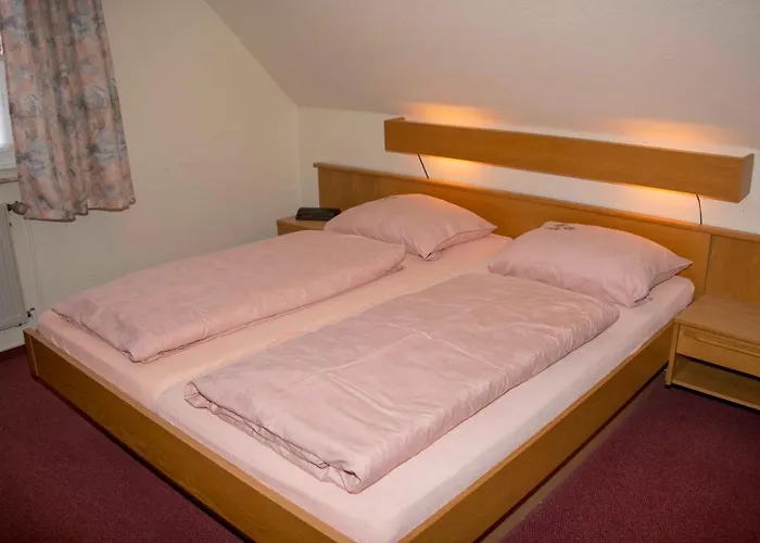 176 Schmidt_s Auss *